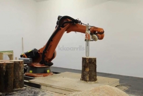 Роботы Echtwald