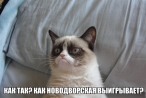 Тот самый момент, когда твой кандидат проигрывает. Помогайте!