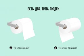 Ироничные факты  о нашей жизни в графиках