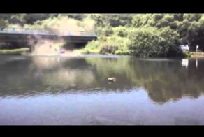 Смертельный полёт с моста