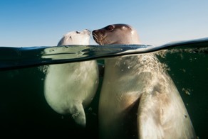 National Geographic.Красота июня