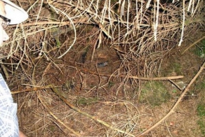 Фотографии Второй мировой, сделанные солдатом во время боя 