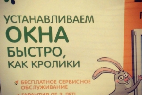 Маразмы месяца