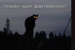 Лучшие котоматрицы недели