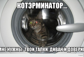 Фишкина солянка за 05.07.2014