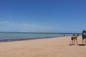  Бедуины - дети пустыни