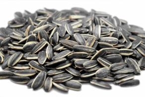 История о большой любви. Или при чём здесь семечки?