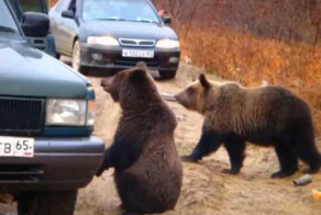 сахалин вторые сочи, солнце светит, но не очень....