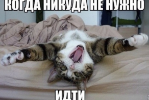 Картинки на утро понедельника.