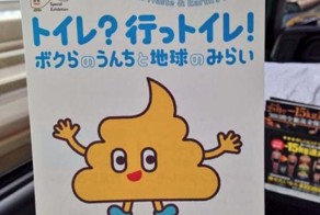 Необычный японский музей