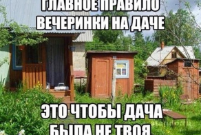Смешные картинки с подписями