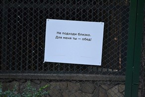 Позитив из зоопарка