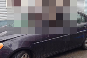 Жесткое столкновение автомобиля с лосем