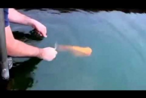 Ты не поверишь что такое бывает ! 