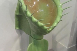 Красивейшие цветочные писсуары