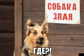 Смешные картинки с подписями
