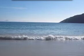 Он просто снимал море и пляж, как вдруг случилось нечто немыслимое!