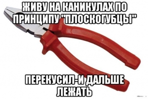 Фишкина солянка за 10.07.2014
