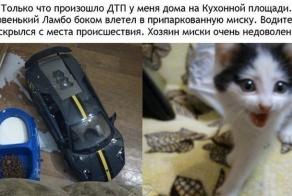 Подборка автоприколов. Часть 141