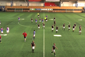 22 любителя против 11 профессионалов