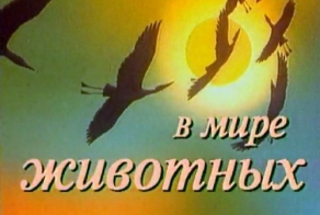 Заставки к телепередачам 80 - 90-х годов