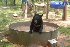 Море волнуется раз