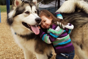 Tрогательная история