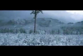 Обращение Президента. Услышь Путина