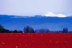 Факты о России