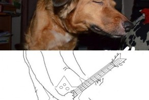 Бред собачий