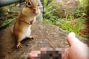 Теперь мы друзья)?