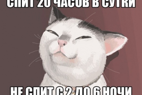 Смешные картинки с подписями