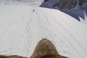 Земля с высоты птичьего полёта