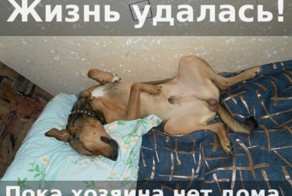 Жизнь удалась!