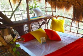 Необычные отели на деревьях