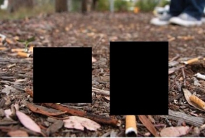 Очень хороший выход