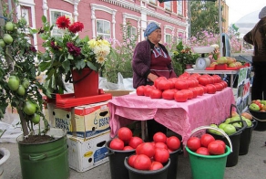 Фишкина солянка за 16.07.2014