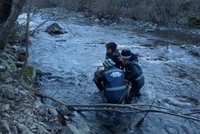 Cпасение волка