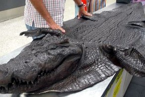 приколы от пилотов 2