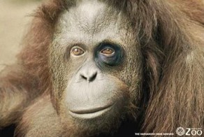 Понедельник день хреновый