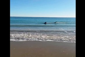 Села на мель