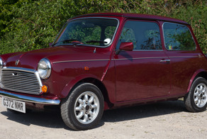 Найдено на eBay. 1989 Mini 30th Anniversary Special Edition