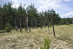 Пропавшие в песках