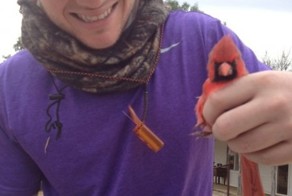 Angry Birds в реальной жизни!