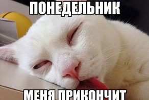 Милые и забавные животные!