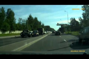 Животные на дороге