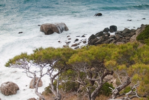 Я так люблю Крым