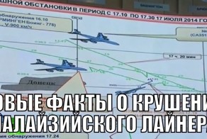 Новые факты о крушении малайзийского лайнера