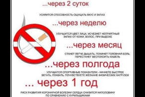 Как я бросил курить и что из этого вышло