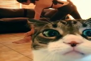 Лучшие фейлы 2014 года